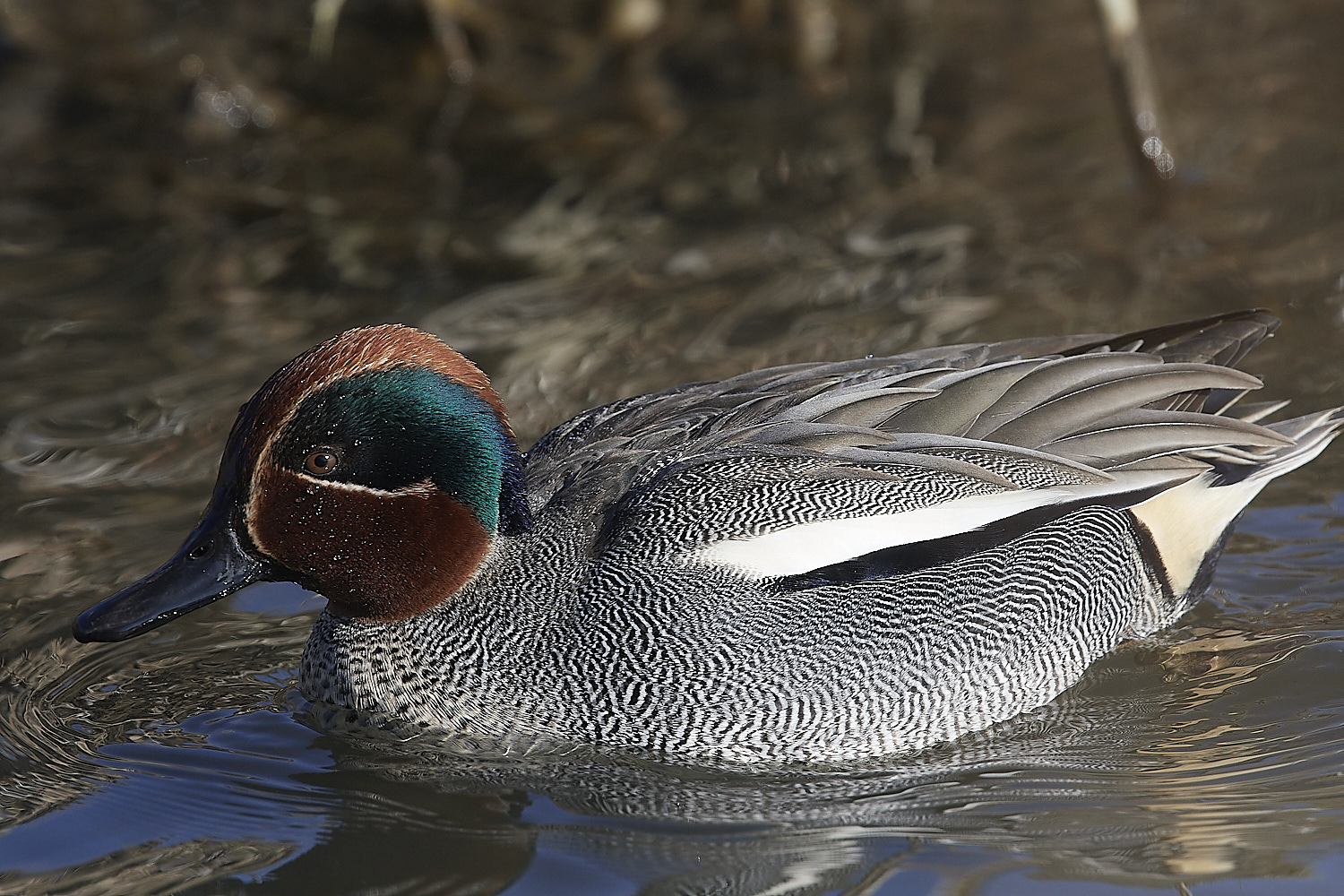 CleyTeal140223-1