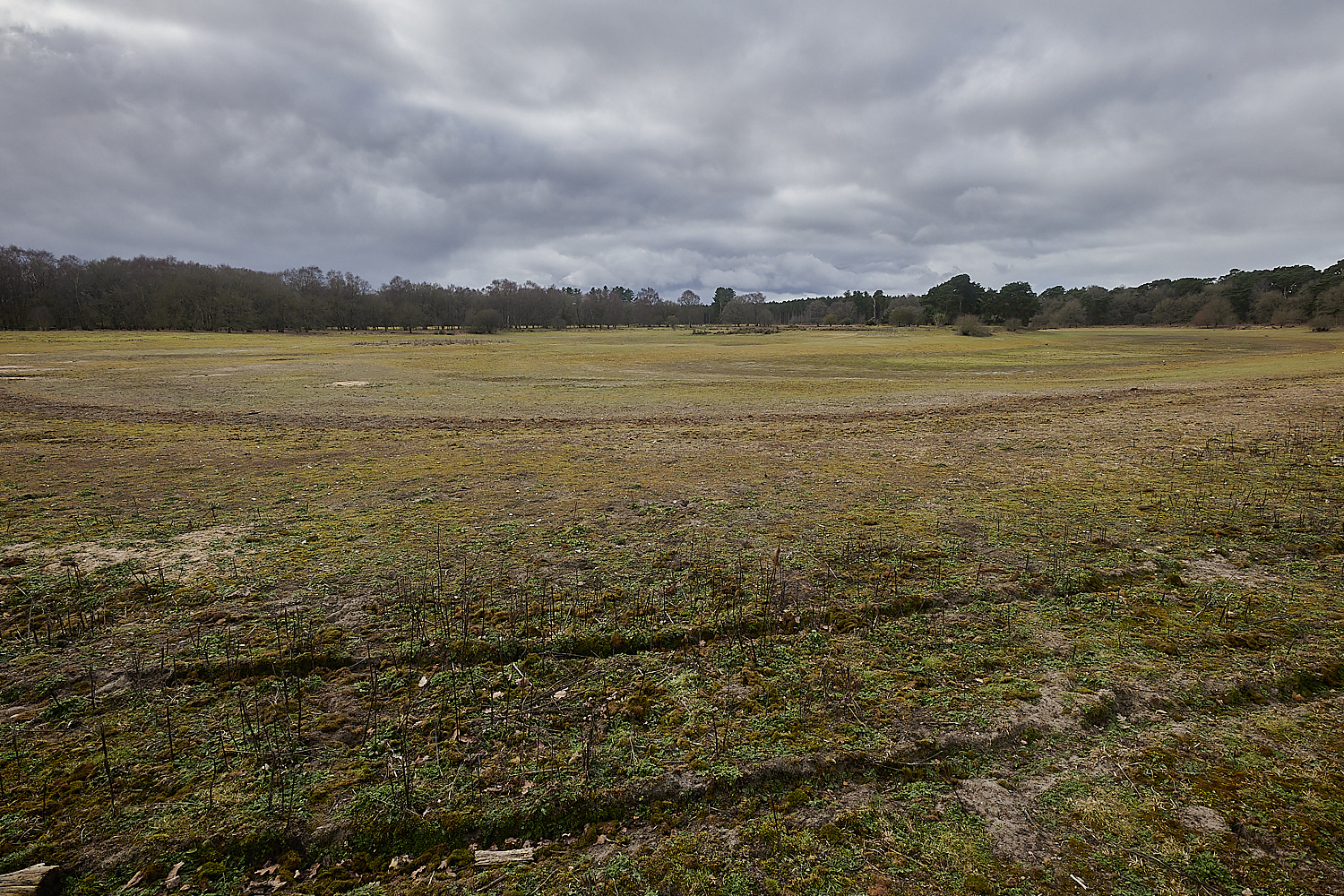 EastWrethamLangmere010323-1