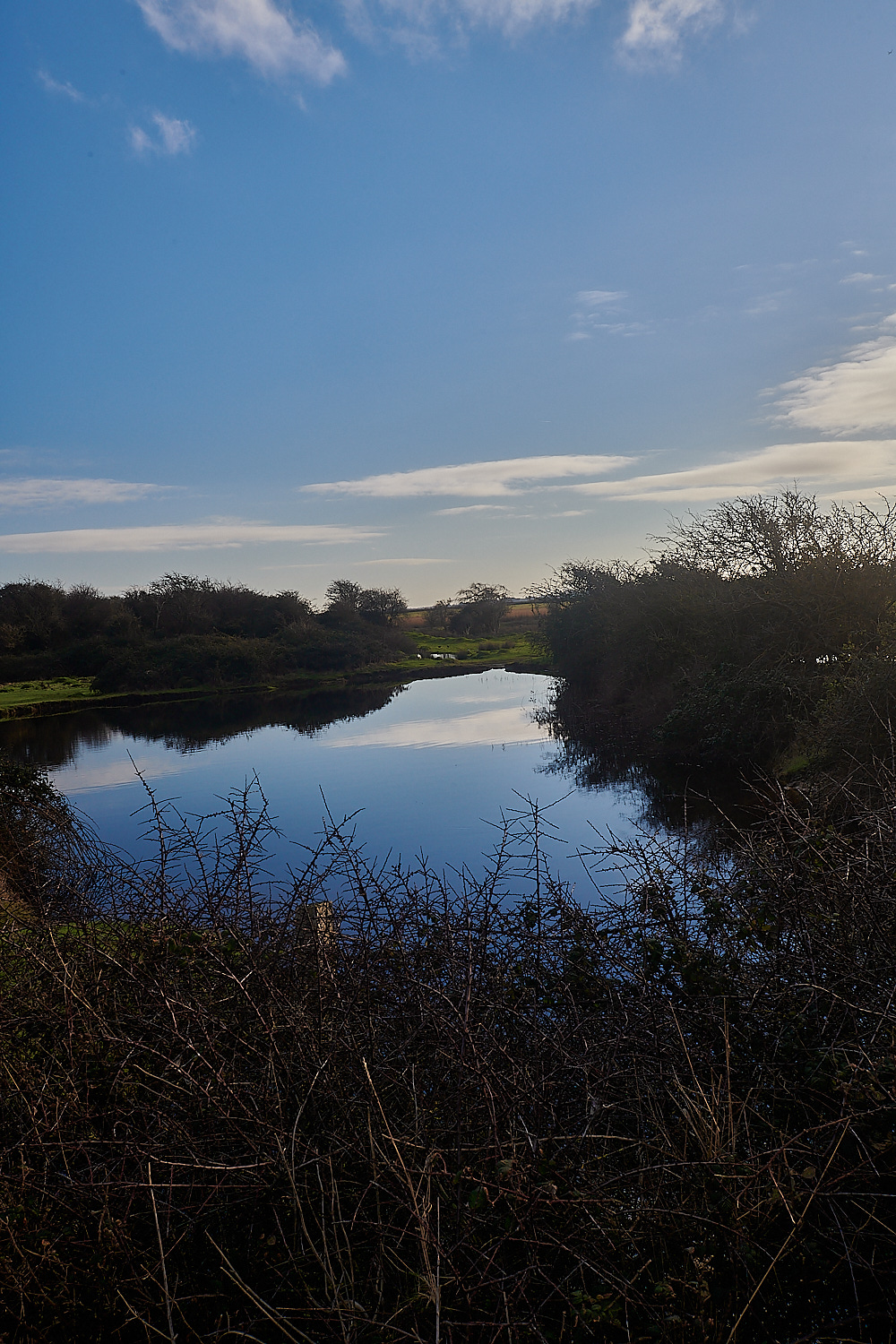 Farlington270123-6