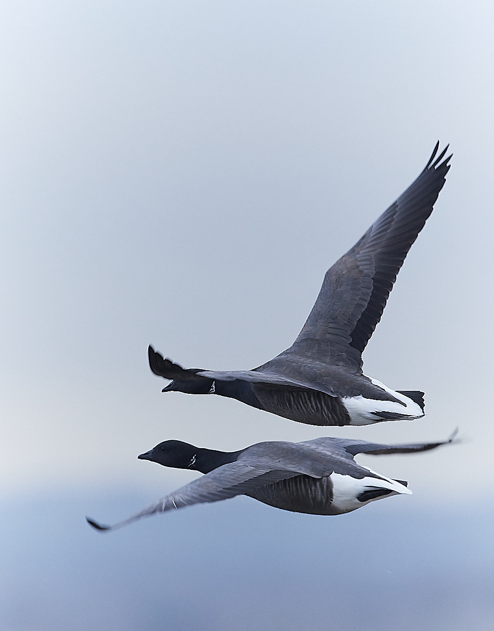 FarlingtonBrent270123-7