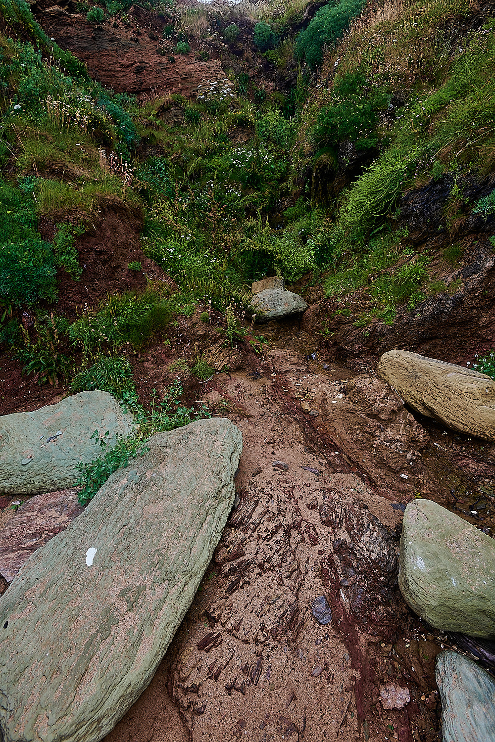 GaraRock300623-2-NEF_DxO_DeepPRIME