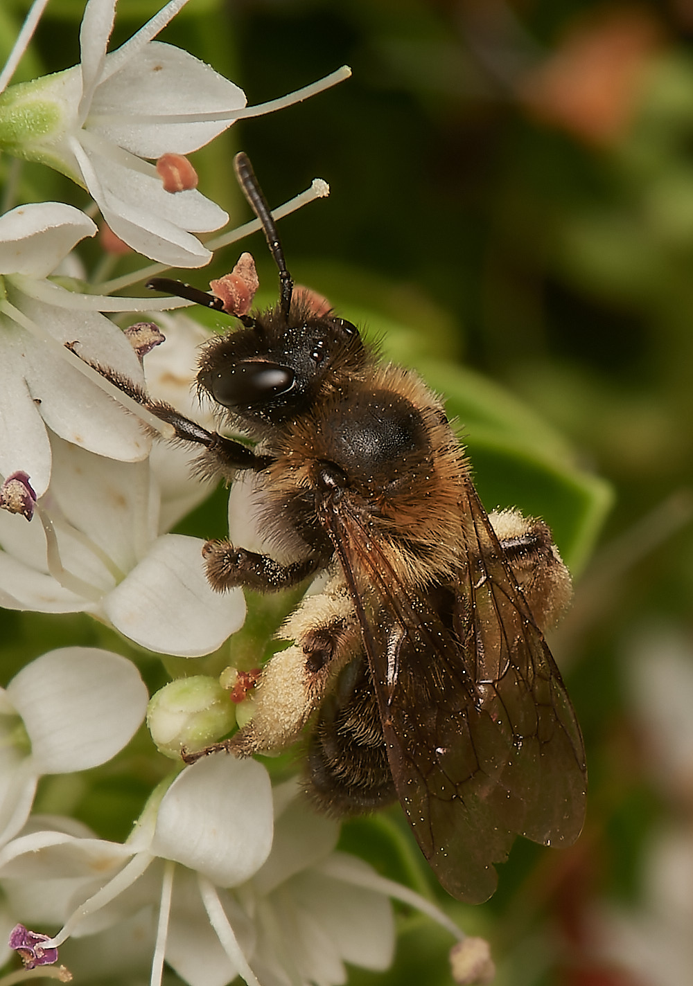 HanworthAndrena100723-3-NEF_DxO_DeepPRIME