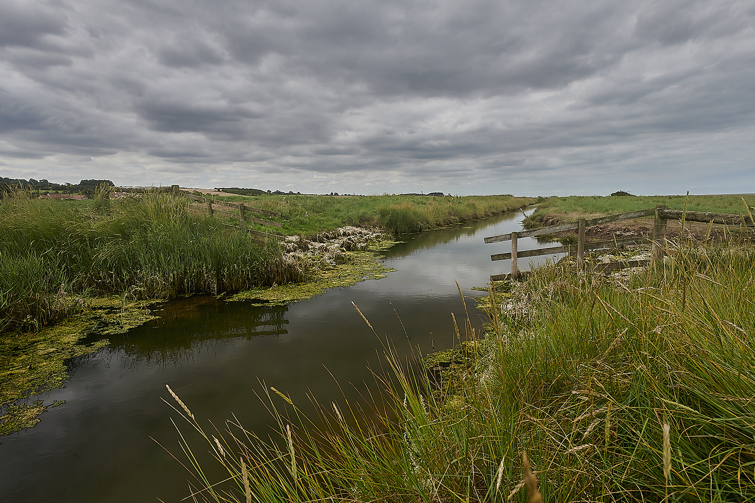 Salthouse100823-2-NEF_DxO_DeepPRIME