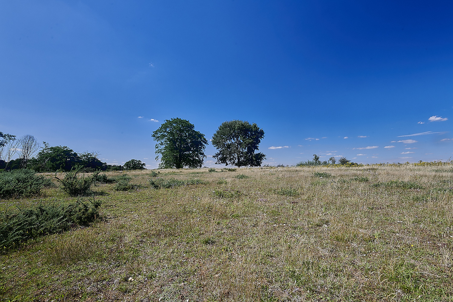 WeetingHeath090823-4-NEF_DxO_DeepPRIME