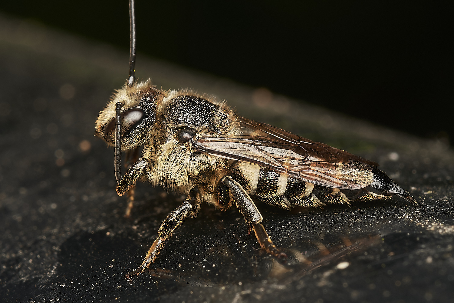 HanworthColeoxys040923-7-NEF_DxO_DeepPRIME