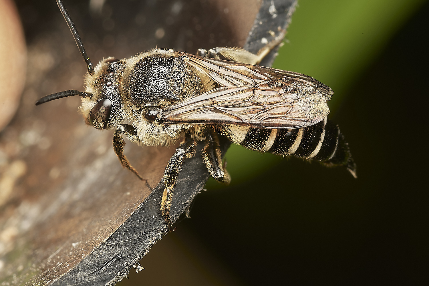 HanworthColeoxys040923-9-NEF_DxO_DeepPRIME