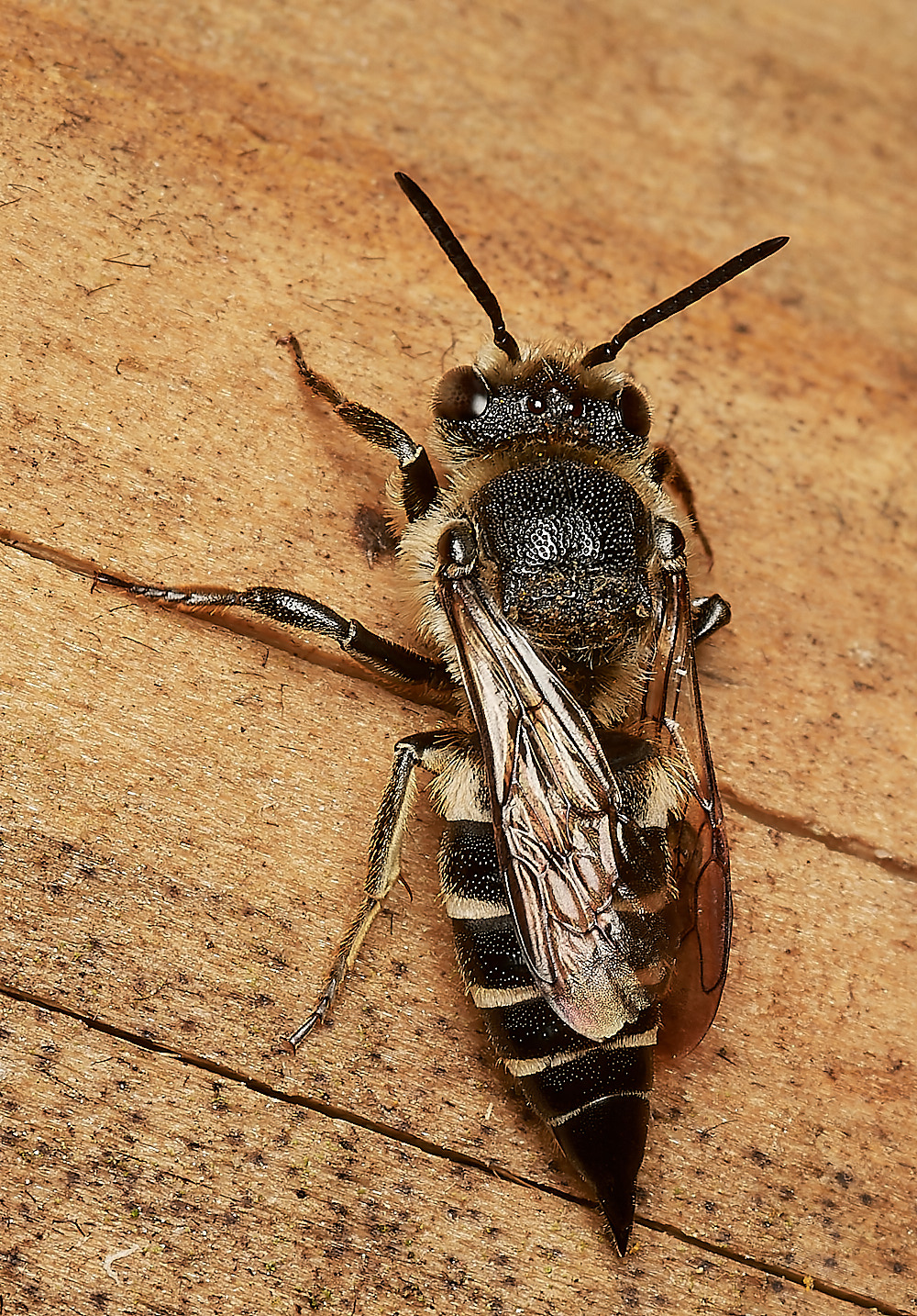 HanworthColoexys030923-1-NEF_DxO_DeepPRIME