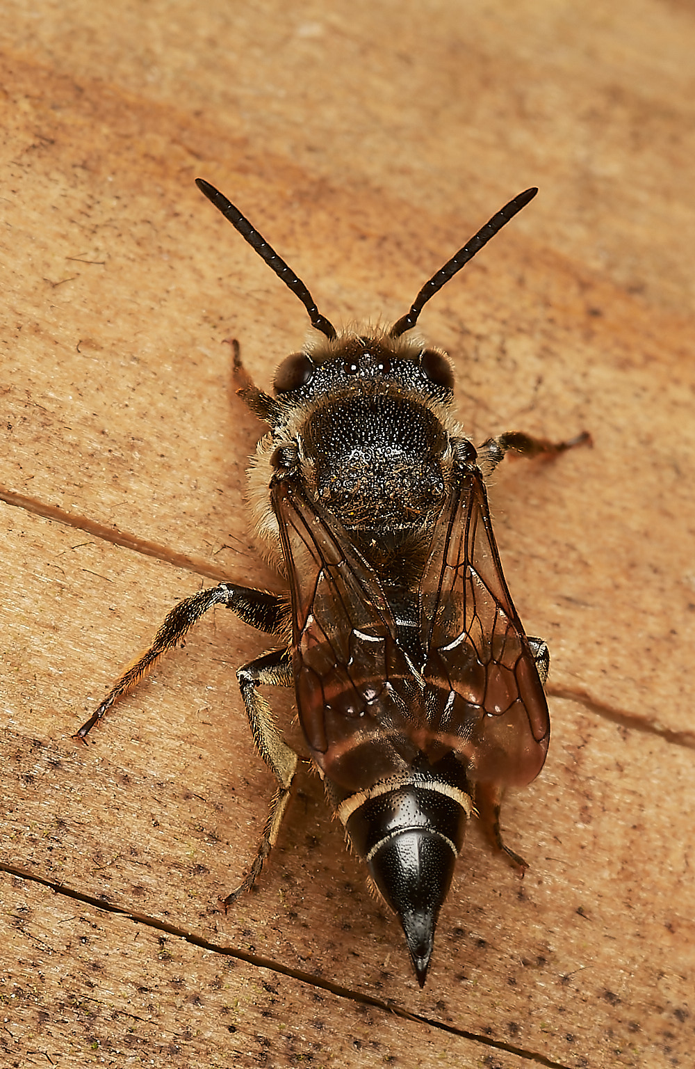 HanworthColoexys030923-2-NEF_DxO_DeepPRIME