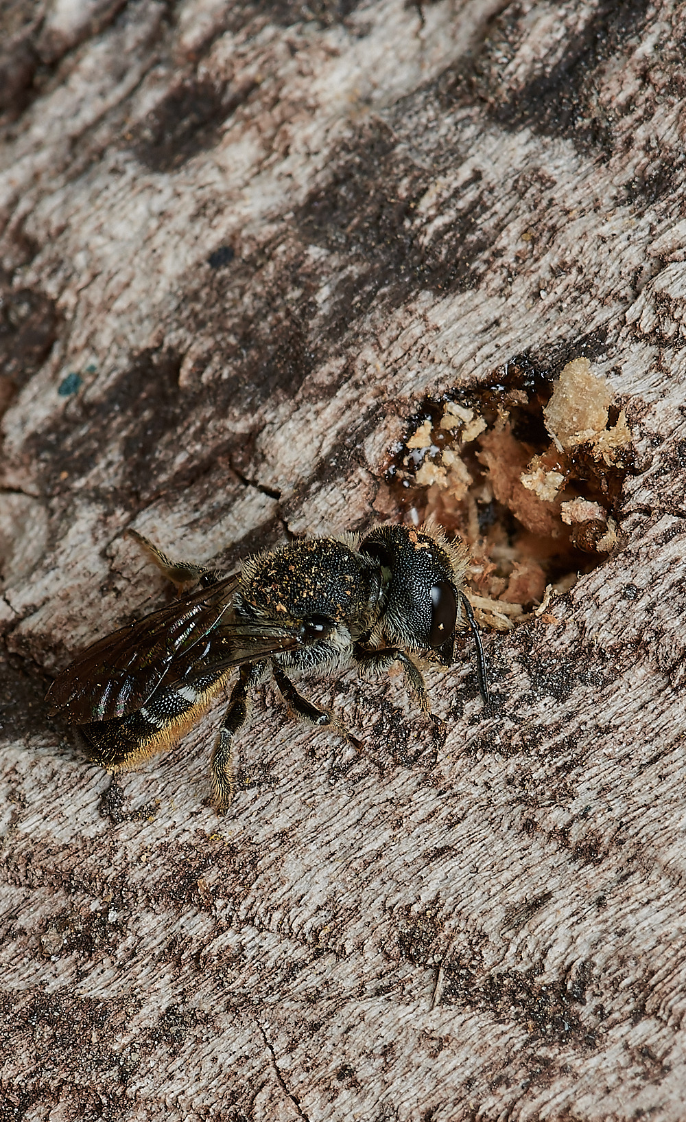 HanworthHT280823-1-NEF_DxO_DeepPRIME