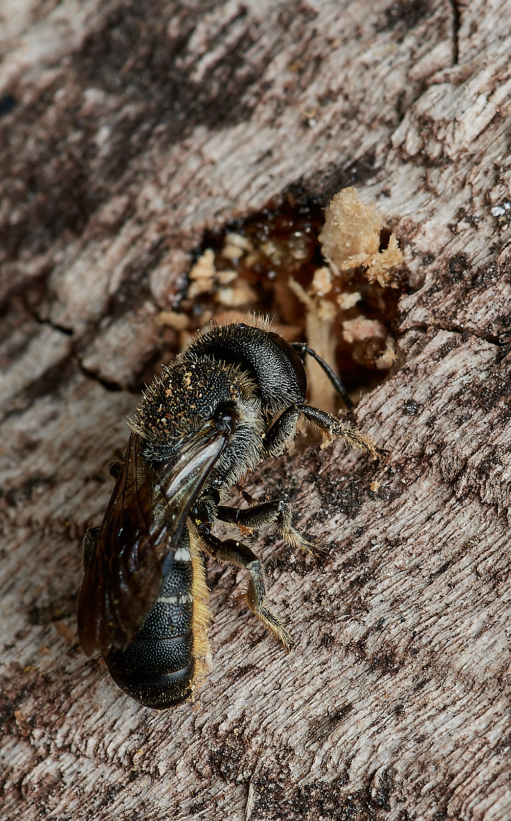 HanworthHT280823-2-NEF_DxO_DeepPRIME