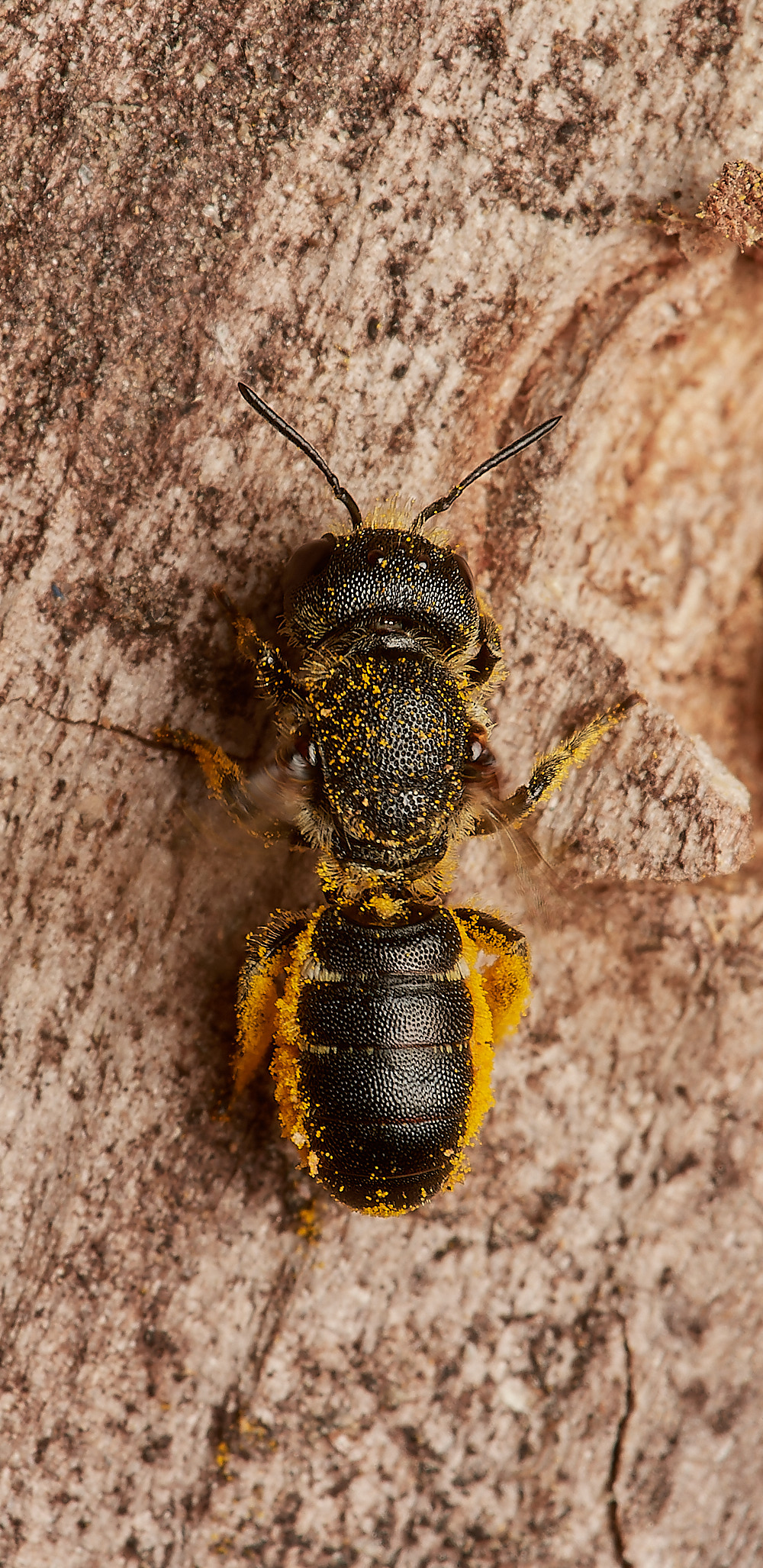 HanworthLHRB140923-1 1-NEF_DxO_DeepPRIME