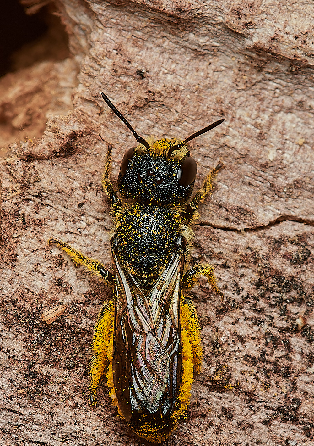 HanworthLRHB140923-2 1-NEF_DxO_DeepPRIME