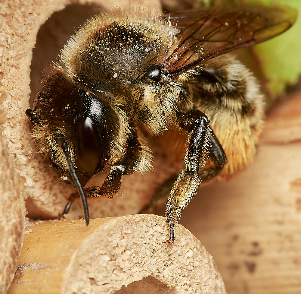 HanworthWLCB280823-10-NEF_DxO_DeepPRIME