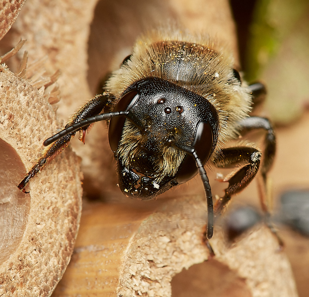 HanworthWLCB280823-11-NEF_DxO_DeepPRIME