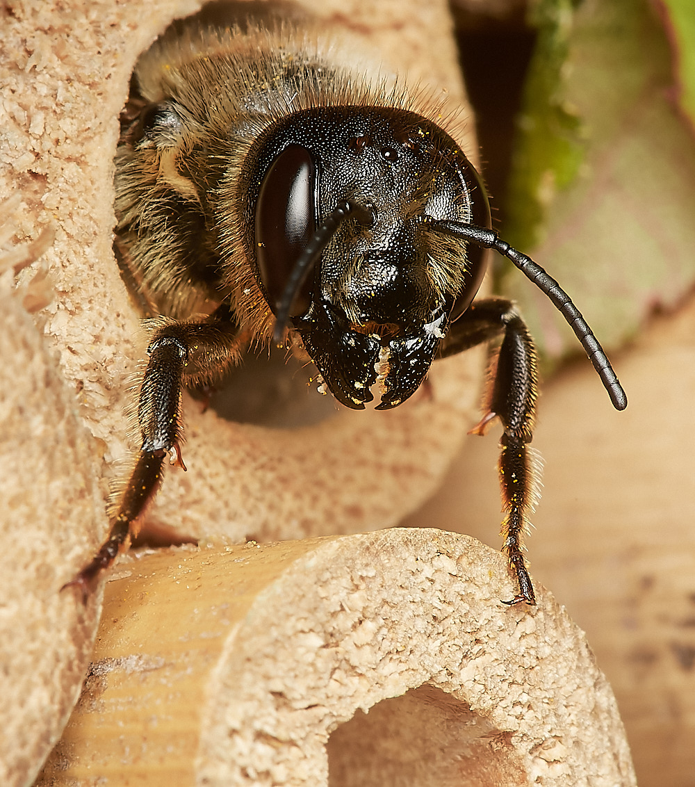 HanworthWLCB280823-12-NEF_DxO_DeepPRIME