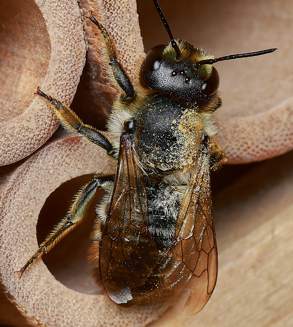 HanworthWLCB280823-8-NEF_DxO_DeepPRIME