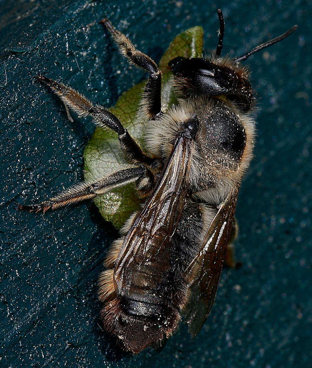 HanworthWLCB280823-9-NEF_DxO_DeepPRIME